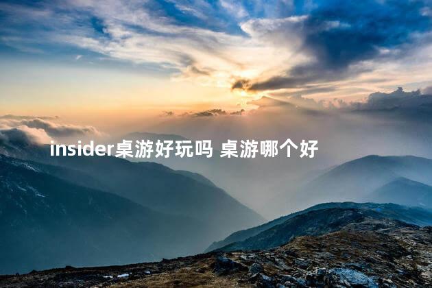 insider桌游好玩吗 桌游哪个好玩